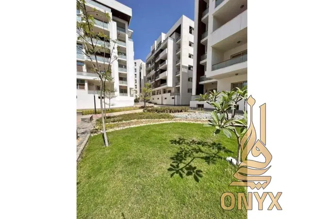 116483084 - Property Image 3
