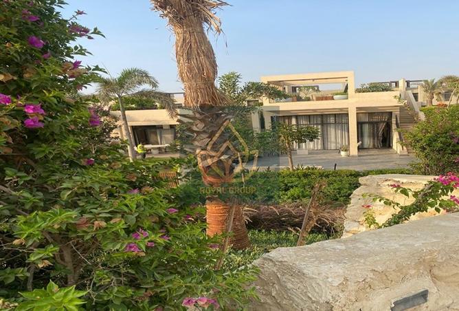 53979951 - صورة العقار 3