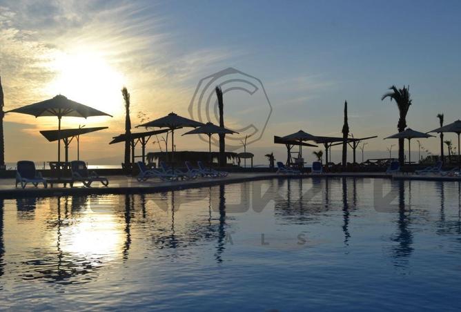 58989557 - صورة العقار 2