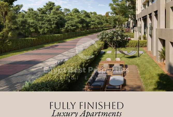 68275442 - Property Image 3