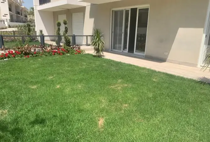 117278098 - Property Image 2