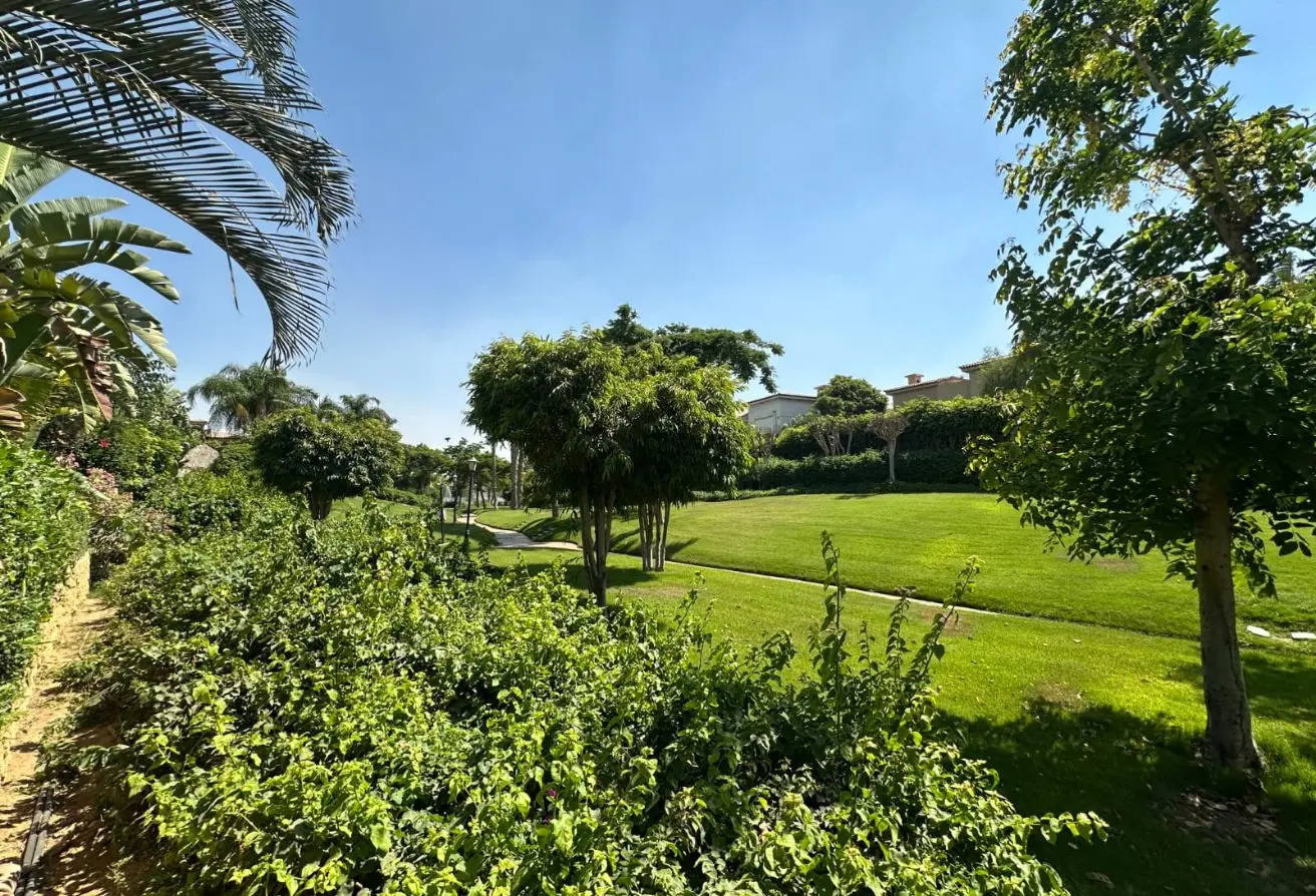 116755221 - Property Main Image