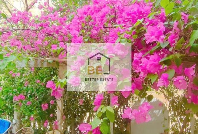 55753651 - صورة العقار 3