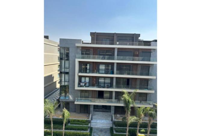 54506843 - Property Image 3