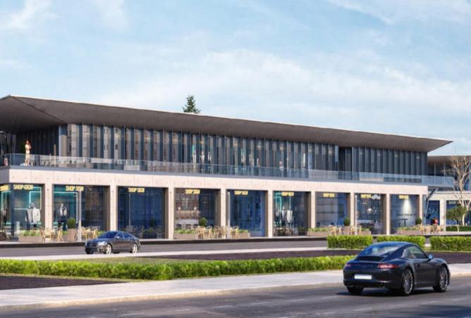 8590536 - صورة العقار 3