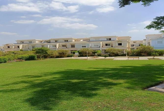 55263655 - Property Image 2