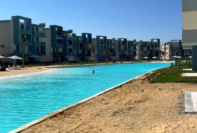 56005231 - Property Image 3