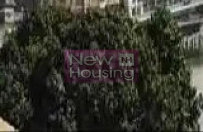 Whole Building - 7+ Bedrooms - 7+ Bathrooms for sale in Zamalek - Cairo Whole Building - 7+ Bedrooms - 7+ Bathrooms for sale in Zamalek - Cairo