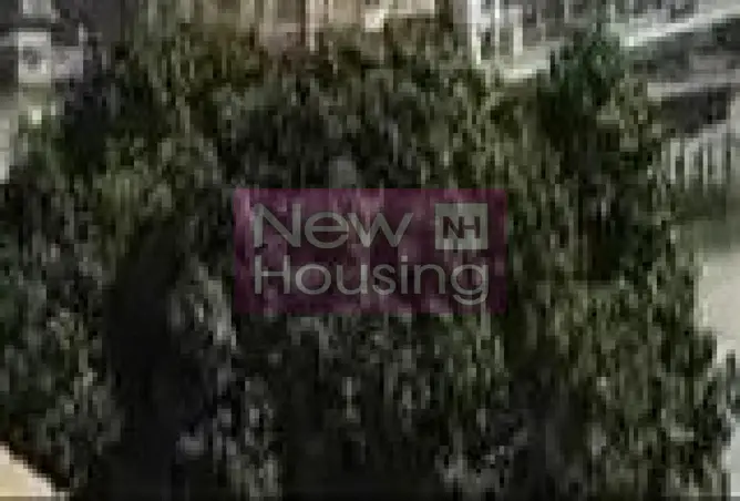 96309155 - Property Image 3