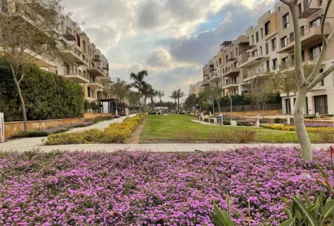 103480894 - صورة العقار 3