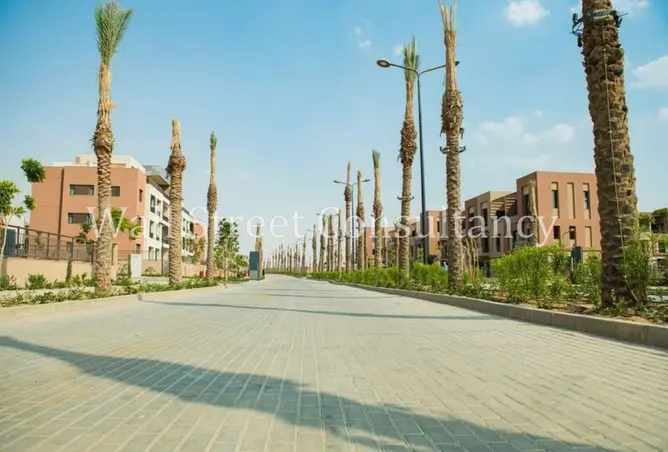 117788743 - Property Image 3