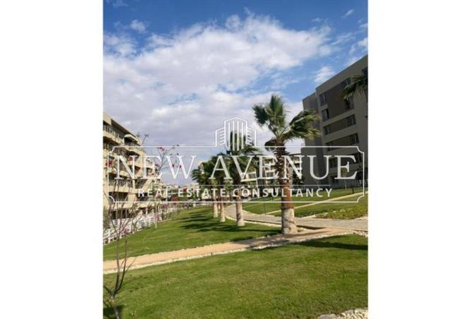 62642376 - صورة العقار 3