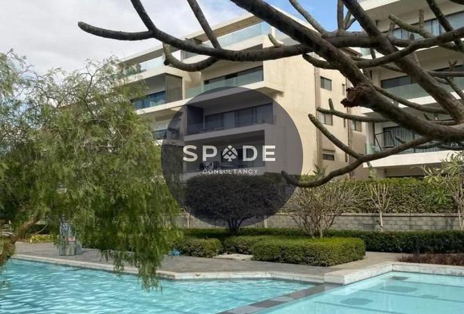 66170108 - Property Image 3