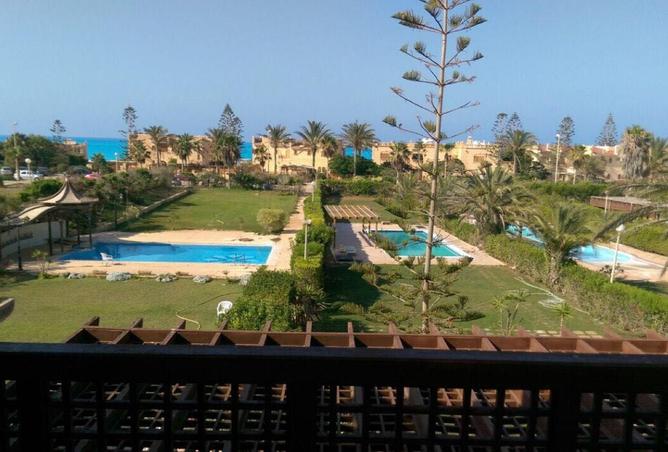 55745742 - صورة العقار 2