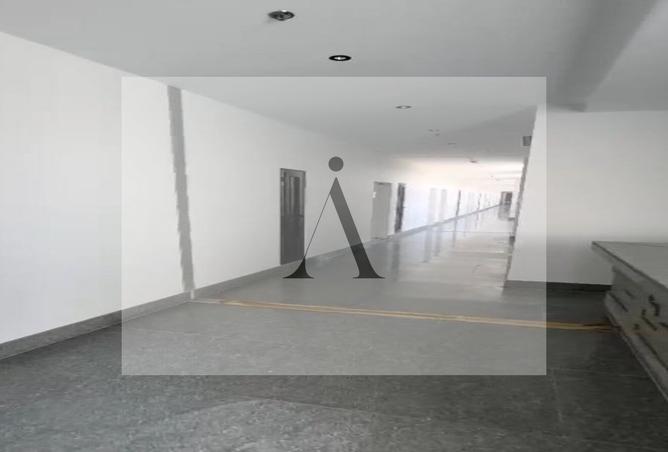 62645381 - صورة العقار 3