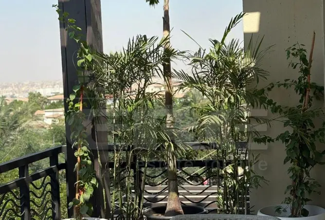 111604119 - صورة العقار 3