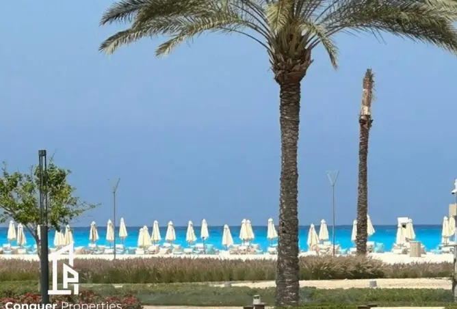 100076784 - صورة العقار 3