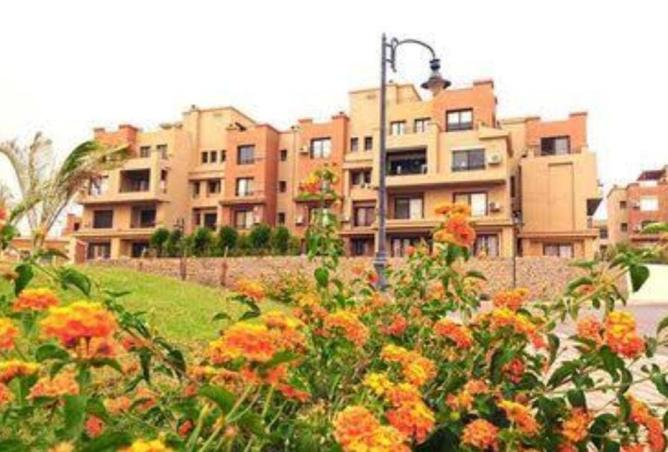 55502969 - صورة العقار 2