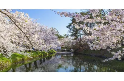 تاون هاوس - 3 غرف نوم - 3 حمامات للبيع في بيل فى - مدينة زايد الجديدة - الشيخ زايد - الجيزة