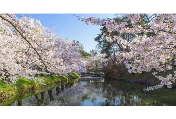 8691346 - الصورة الرئيسية للعقار