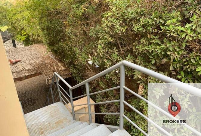 64140577 - صورة العقار 3