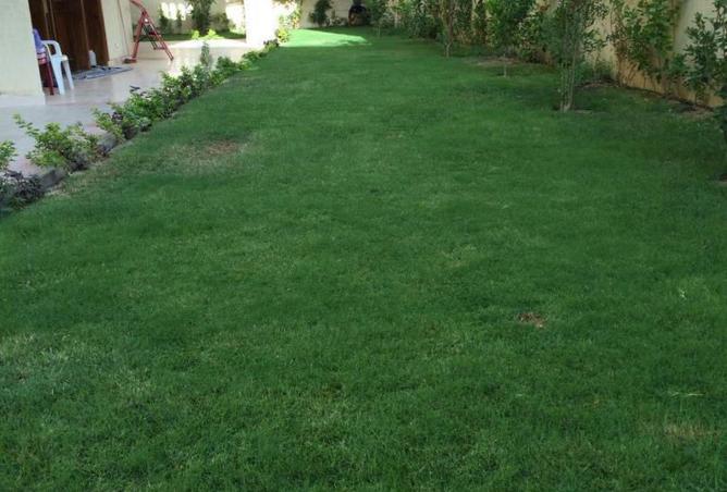 53734739 - صورة العقار 3