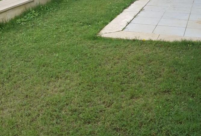 8699716 - صورة العقار 2