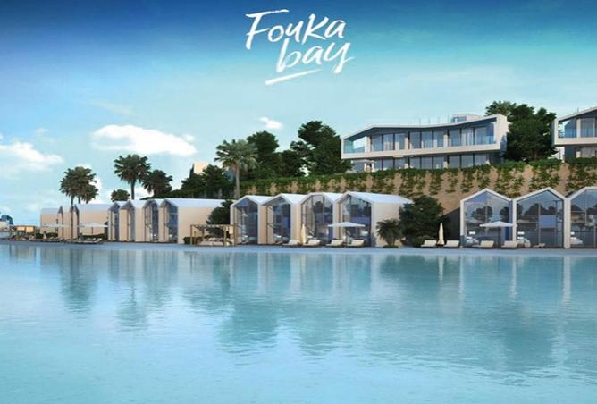 8528417 - Property Image 3