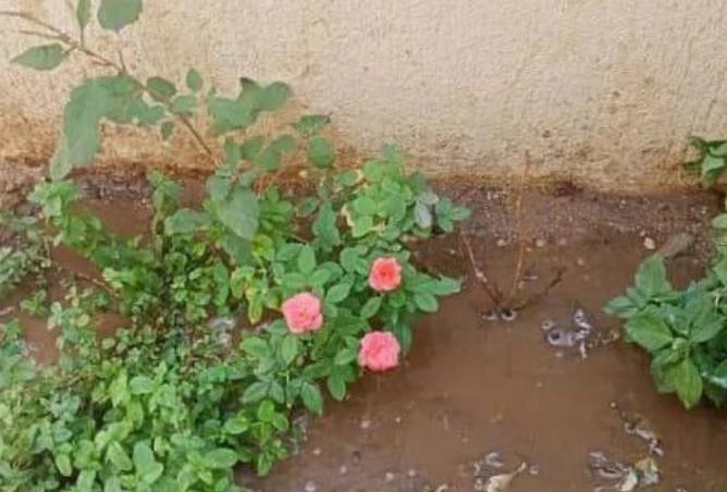 97999222 - صورة العقار 3