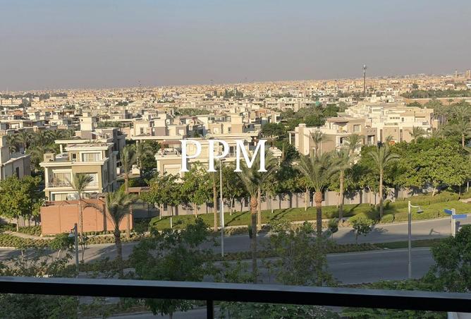 75398987 - صورة العقار 3
