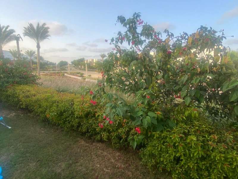 3BR Chalet | Garden View | Almaza Bay thumbnail