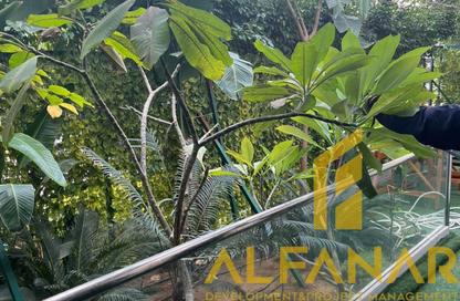 Apartment - 2 Bedrooms - 2 Bathrooms for sale in Moon Valley - South Investors Area - New Cairo City - Cairo