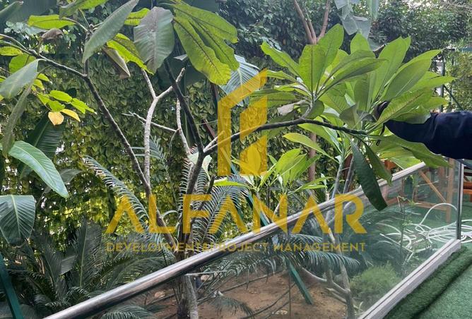 63130988 - Property Image 2