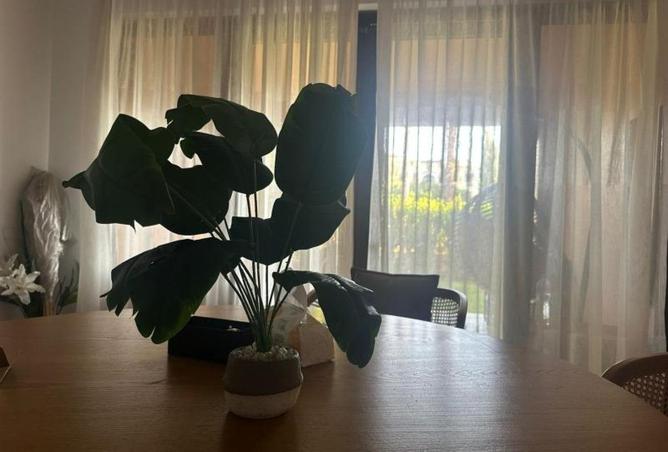 8588347 - Property Image 3