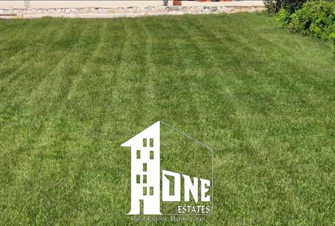 8557197 - صورة العقار 2