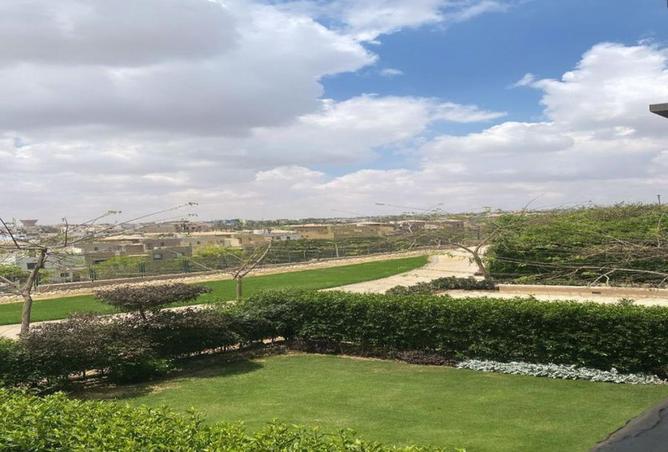 81562454 - صورة العقار 3