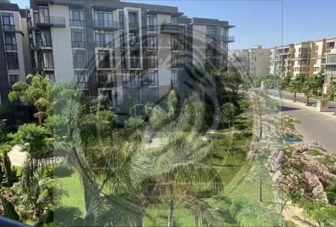 117529464 - Property Image 3