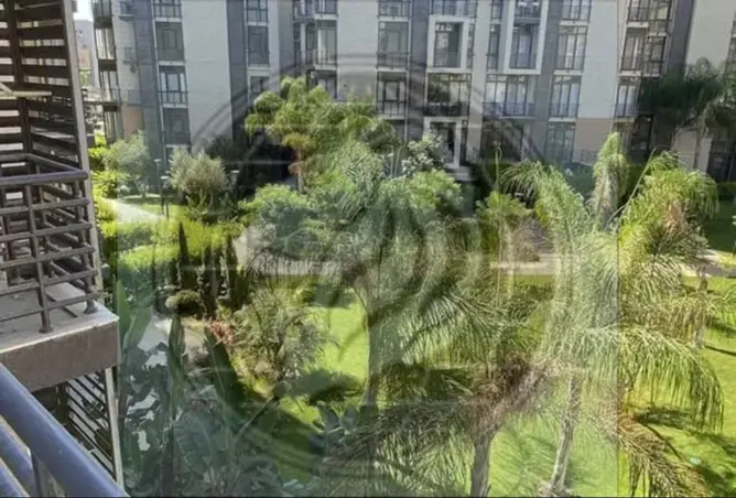 117529464 - Property Image 2