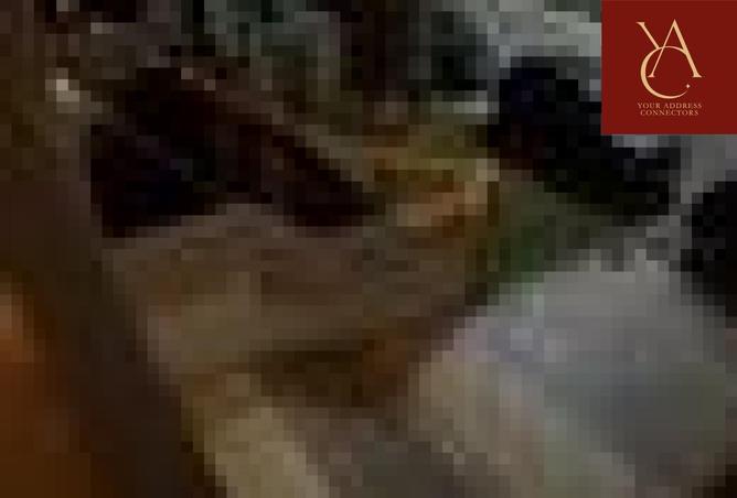 59249358 - صورة العقار 3