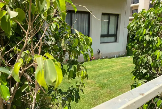 114346344 - صورة العقار 2