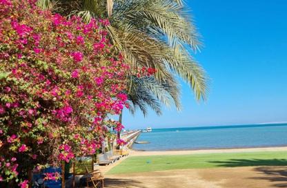 Chalet - 2 - 1 for sale in Palma Resort - Hurghada Resorts - Hurghada - Red Sea