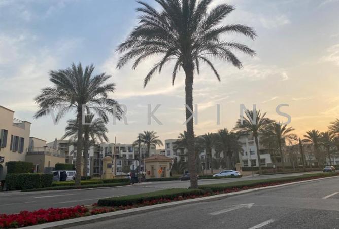 70625446 - Property Image 3