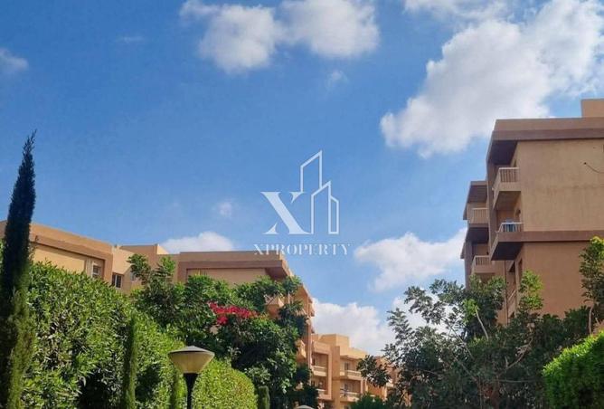 57240244 - صورة العقار 3