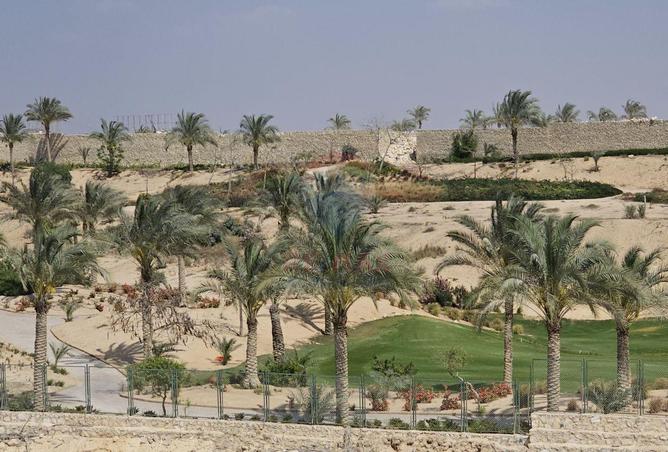 83979687 - صورة العقار 3