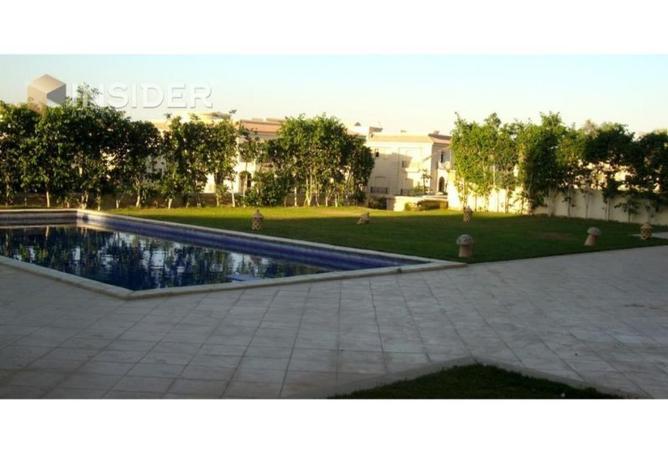 8674974 - صورة العقار 2