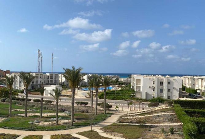 59234588 - صورة العقار 2