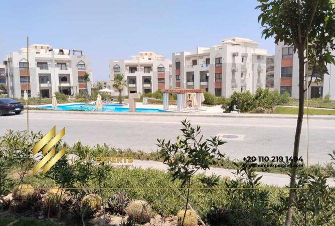 74595469 - Property Image 2
