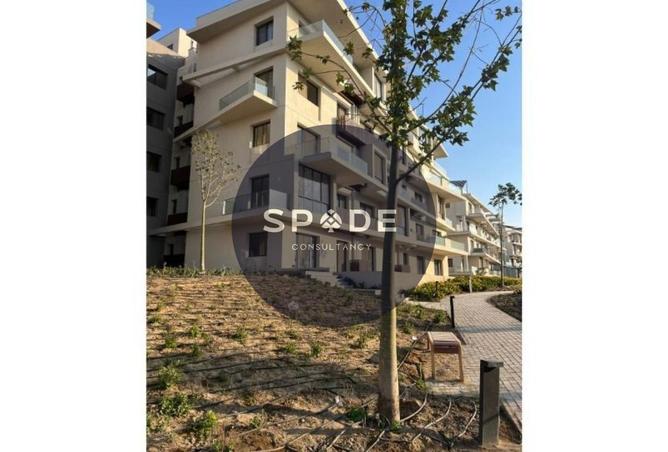 63131598 - Property Image 3