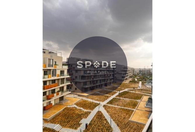 63131598 - Property Image 2