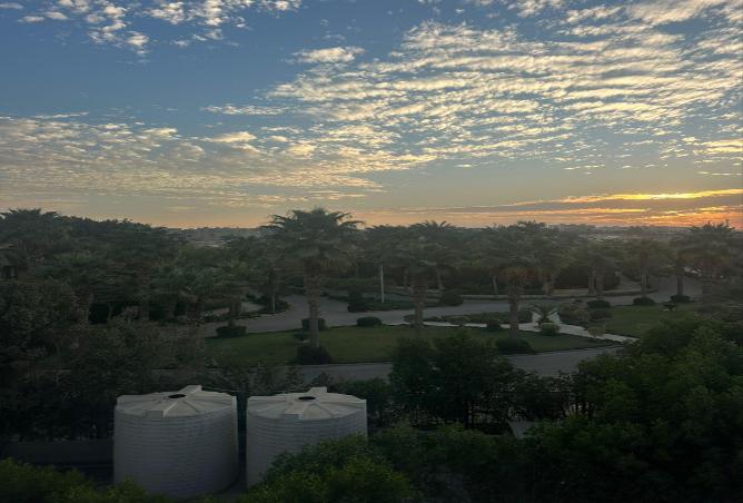 8600393 - صورة العقار 3